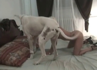Amazingly entertaining bestiality happening here