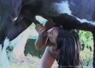 Black zoophile is at the where and has all sorts of kinky fun