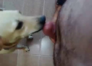 Shameless dude is jerking off in front of his sexy doggie