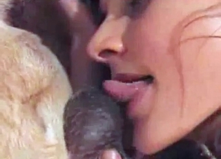 Watch how a sexy zoofil is playing with animal balls