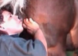 Filthy woman giving a rim job to a handsome horse