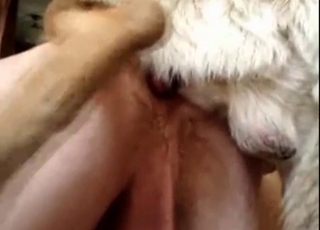 The sexiest and dirtiest bestiality sex action