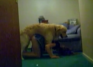 Awesome sexual action for a really large dog
