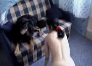 Tiny black puppy is having a passionate sex session
