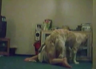 Amateur with a red mask gets properly banged by Tyke