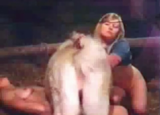 Insane dog sex action looks great