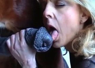 Lovely girl with blonde hair is banging with this handsome stallion