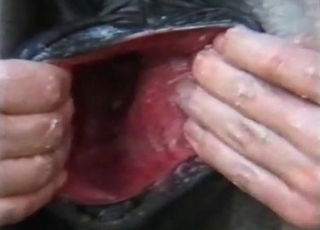 You definitely has to watch this bestiality XXX