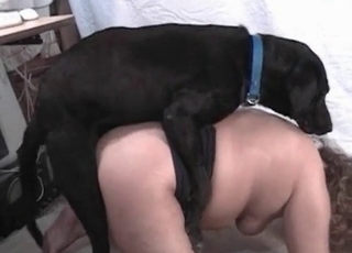 Tight twat brutally fucked by a trained animal
