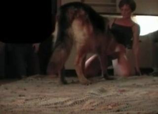 Close up video where a filthy dog gets banged