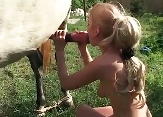 Lovely blonde slut is sucking the big cock of a horse