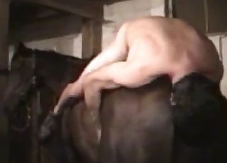 Anal fucking enjoyment for a really hot stallion