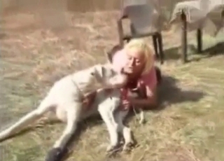 Farm is a perfect place for the bestiality