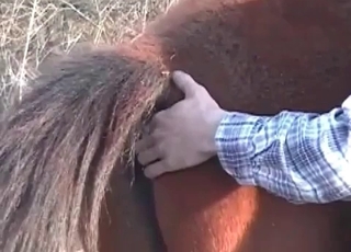 Hors adores asshole fingering