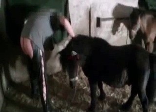 This young pony bangs like a porn actor