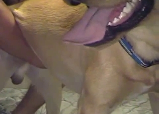 This handsome puppy is practically begging to be fucked