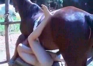 Large stallion with a rocking bod is having lovely sex