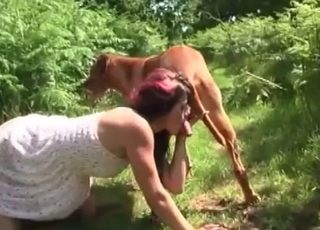 Horny doggie is licking and fucking a lovely pussy