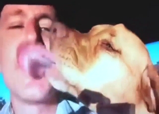 Guy in a car making out passionately with hound