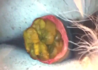 Close-up footage of that horse's hot turd cutter