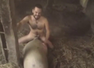 Naked dude barn-fucking farm beast, 100% raw