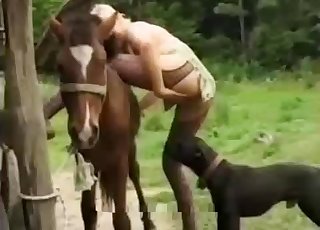 Amazing three-way with a blonde slut, stallion and a pup