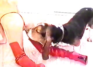 Kinky animal is having an intense and filthy bestial action