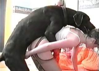 MILF wearing a pantyhose is fucked hard by a dog
