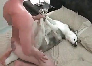 Handsome husky wants to totally stuff this tight pussy