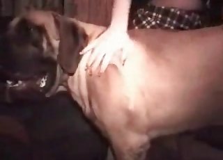 Muñeca sexy de culo grande follada por su propia bestia