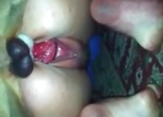 Filthy zoo slut is getting nicely penetrated