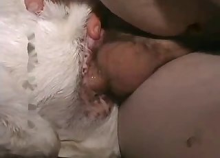 Awesome sex action with my lovely goat