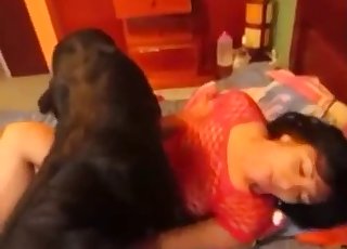 Black hound having an intense bestiality session