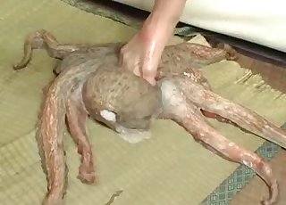 Pair of Asians with a pissing fetish piss on an octopus