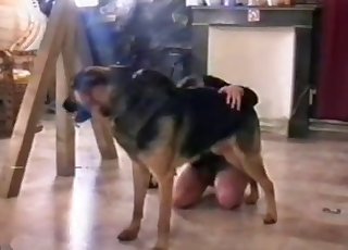 Amateur bestiality where a doggo gets a sloppy BJ