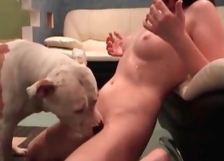 Large dog is eating out this amazing wet pussy