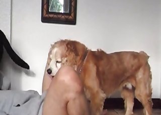 Dog is fucking a lovely wet pussy of a stupid slut