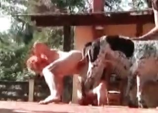 Outdoors fucking in this video with a lovely dalmatian