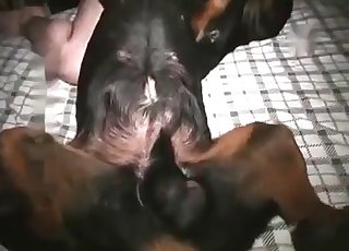 Sweet zoophile slut takes a huge animal boner
