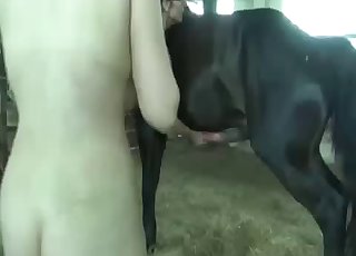 Dark pony is showing off its really big dick