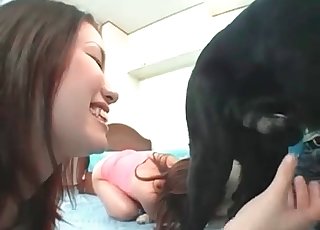 Foursome fun with pair of Asian sluts and two puppies