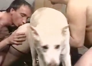 Brutal bestiality orgy with an awesome doggy