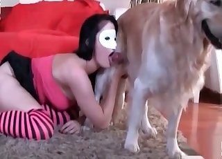 Brunette is trying hard to seduce a sweet doggy