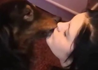 This pooch gets oral pleasure from a slutty brunette