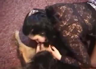This pooch gets oral pleasure from a slutty brunette