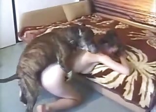 This doggo is trained to have sex with people
