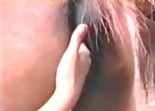 Lovely zoophile is stimulating the asshole of this animal