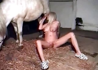 Horny horse is having all sorts of fucking fun in this one