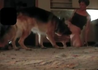 Close up video where a filthy dog gets banged
