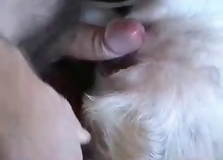 Fantastic youthfull dog adores my hard cock